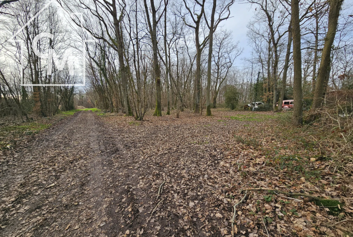 Terrain de loisirs avec chalet - Ferrieres en Gatinais 