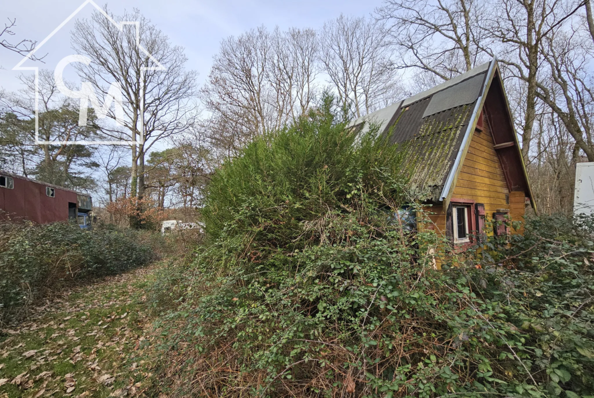 Terrain de loisirs avec chalet - Ferrieres en Gatinais 