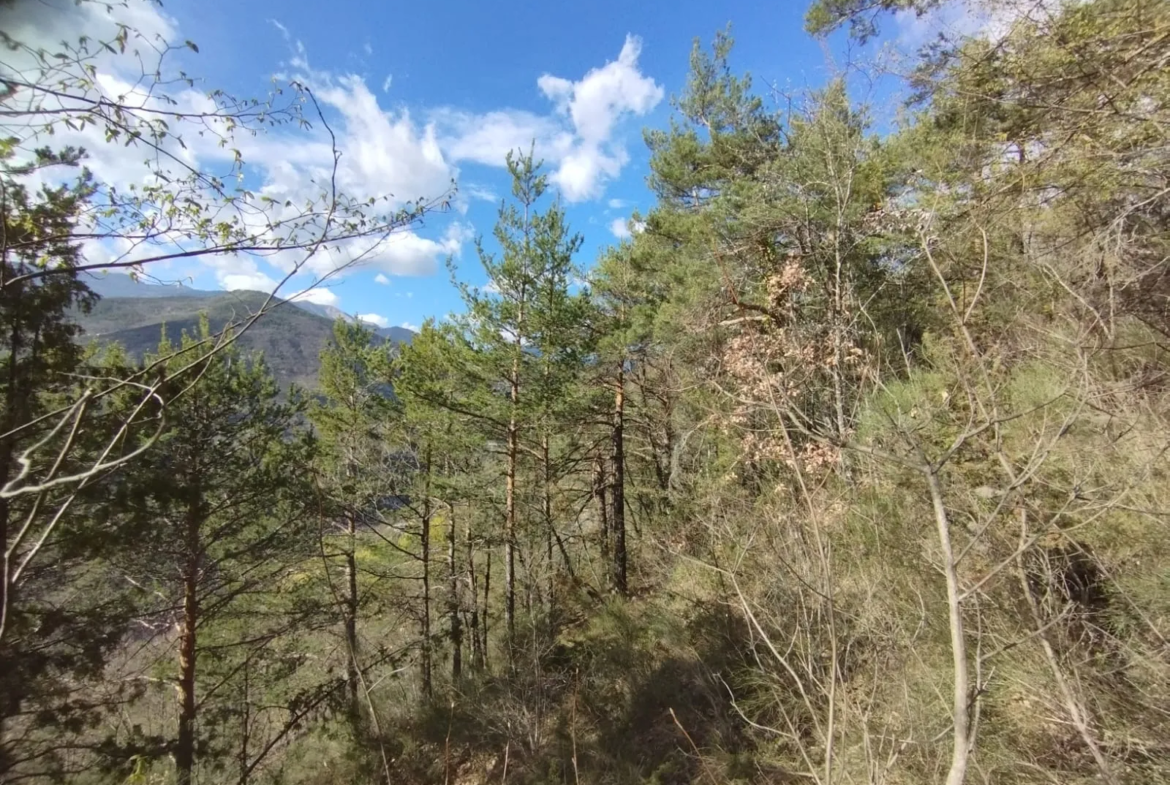 Terrain boisé de 2 988 m2 à Lantosque 