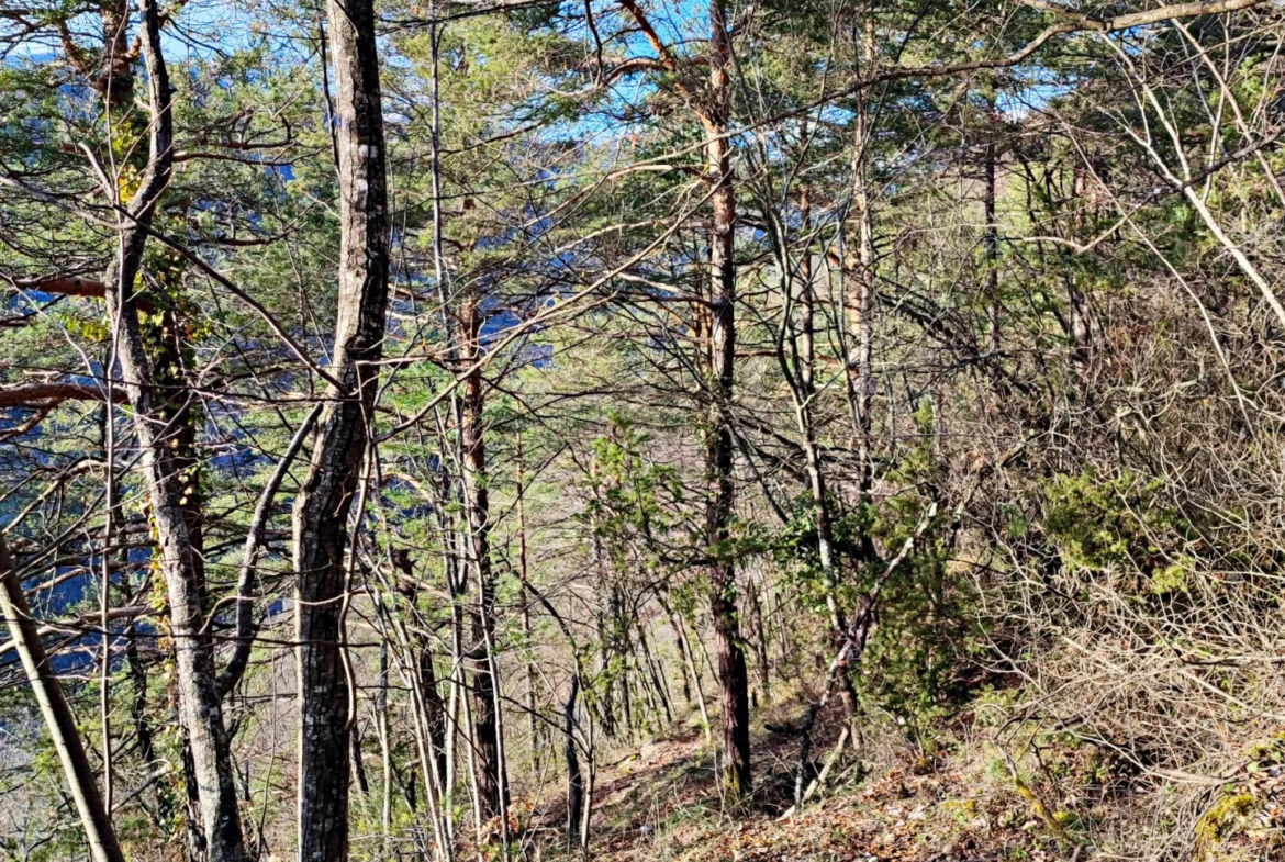 Terrain boisé de 2 988 m2 à Lantosque 