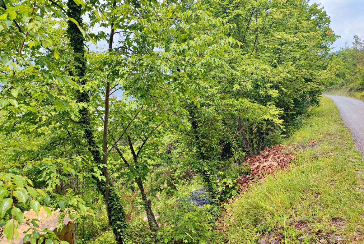 Terrain boisé de 2 988 m2 à Lantosque 