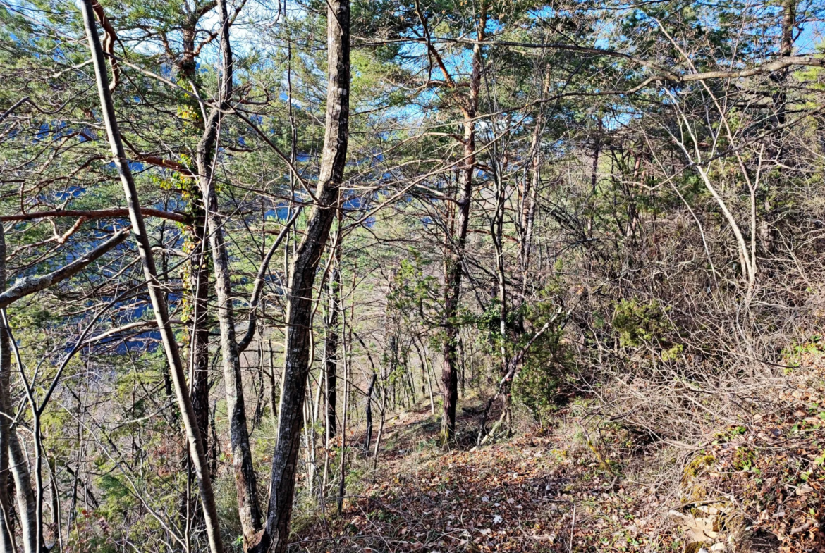 Terrain boisé de 2 988 m2 à Lantosque 