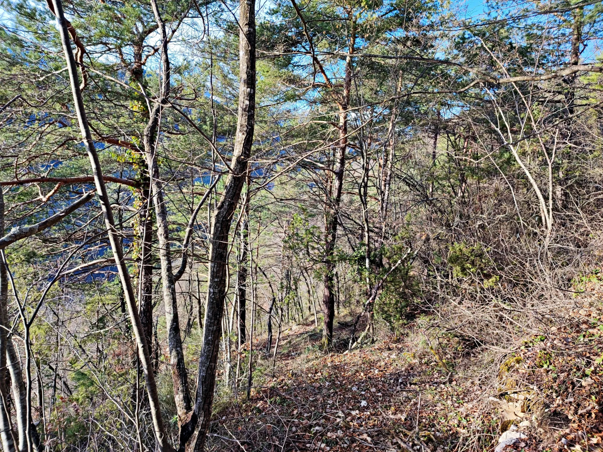 Terrain boisé de 2 988 m2 à Lantosque 