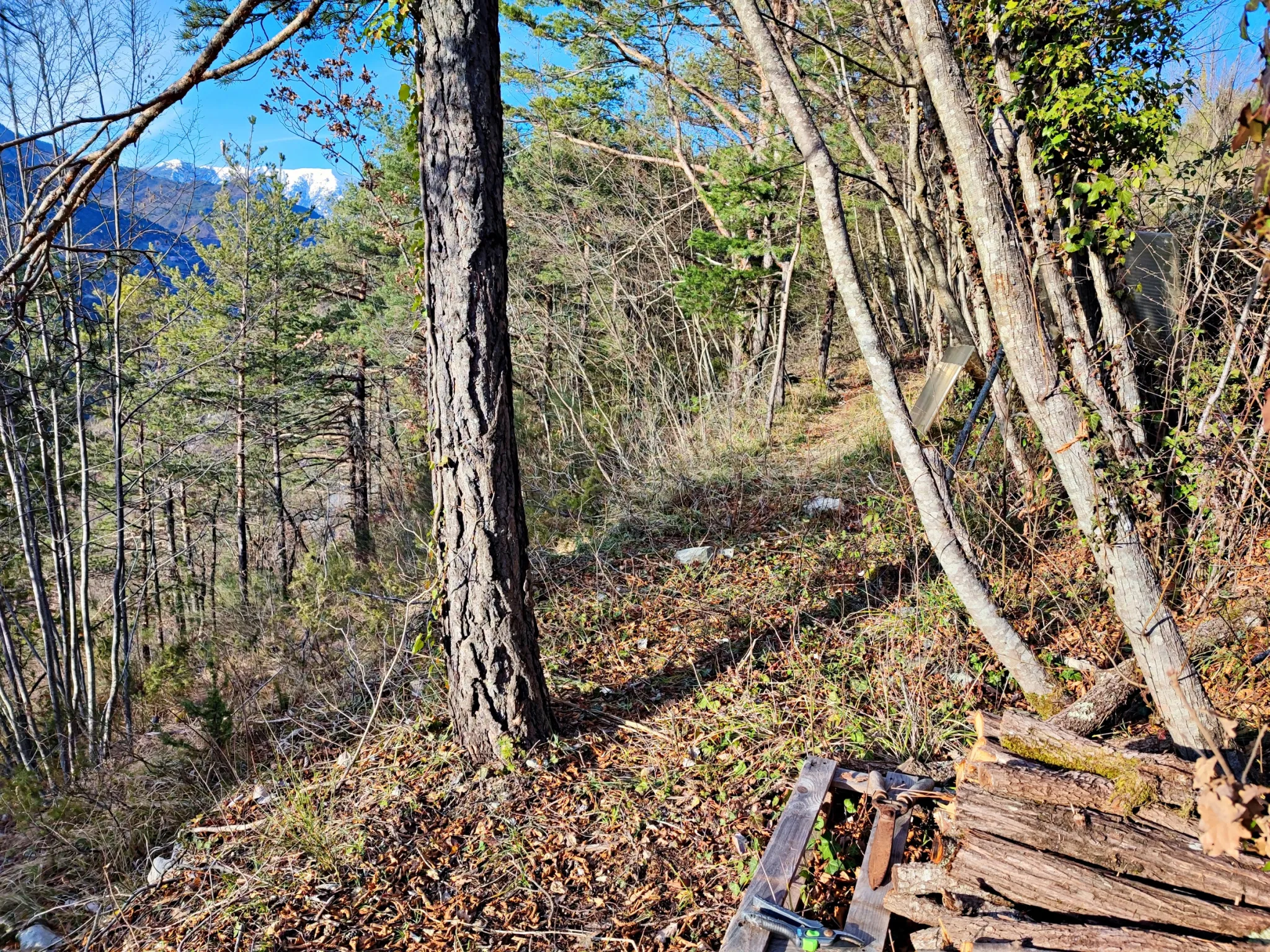 Terrain boisé de 2 988 m2 à Lantosque 