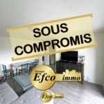 Appartement T2 entièrement rénové à Saint-Louis