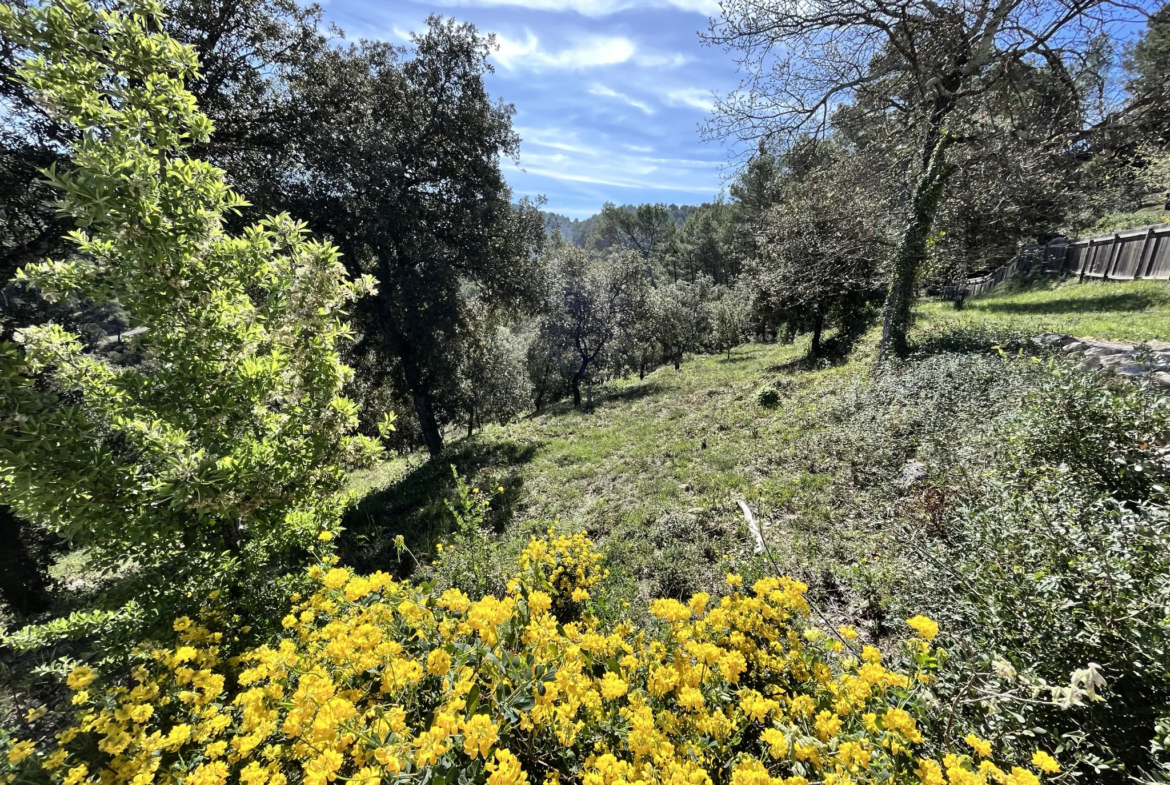 Terrain constructible à Vidauban de 2500 m2 