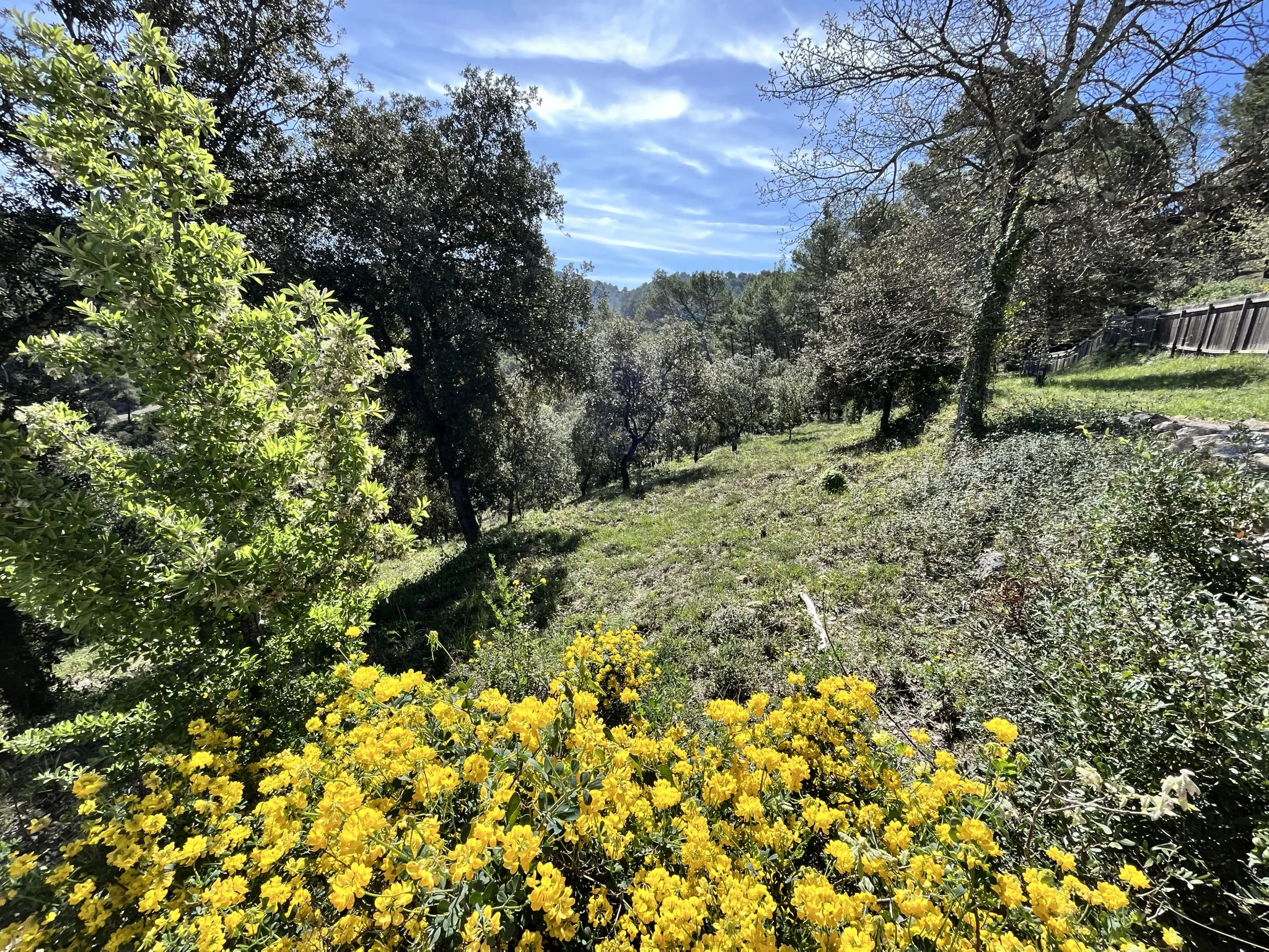 Terrain constructible à Vidauban de 2500 m2 