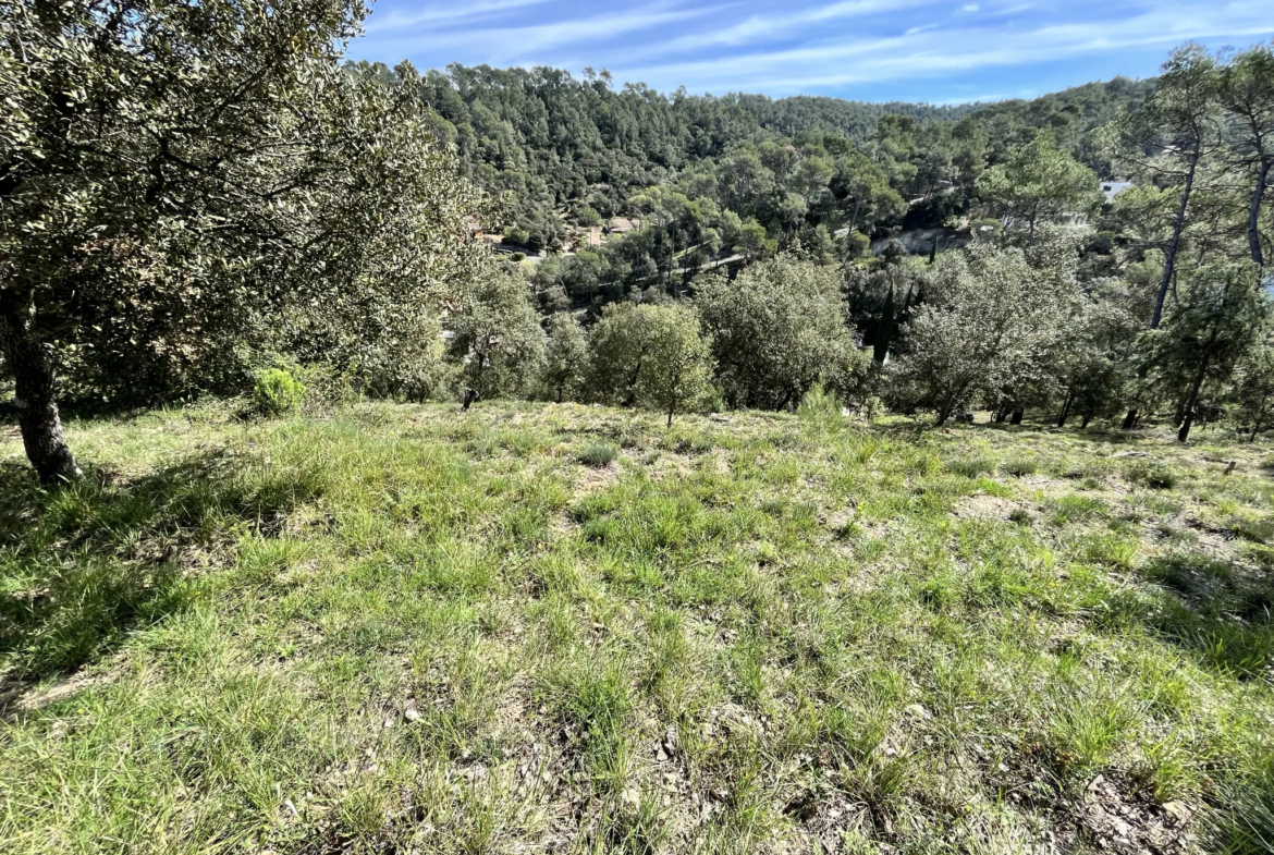 Terrain constructible à Vidauban de 2500 m2 