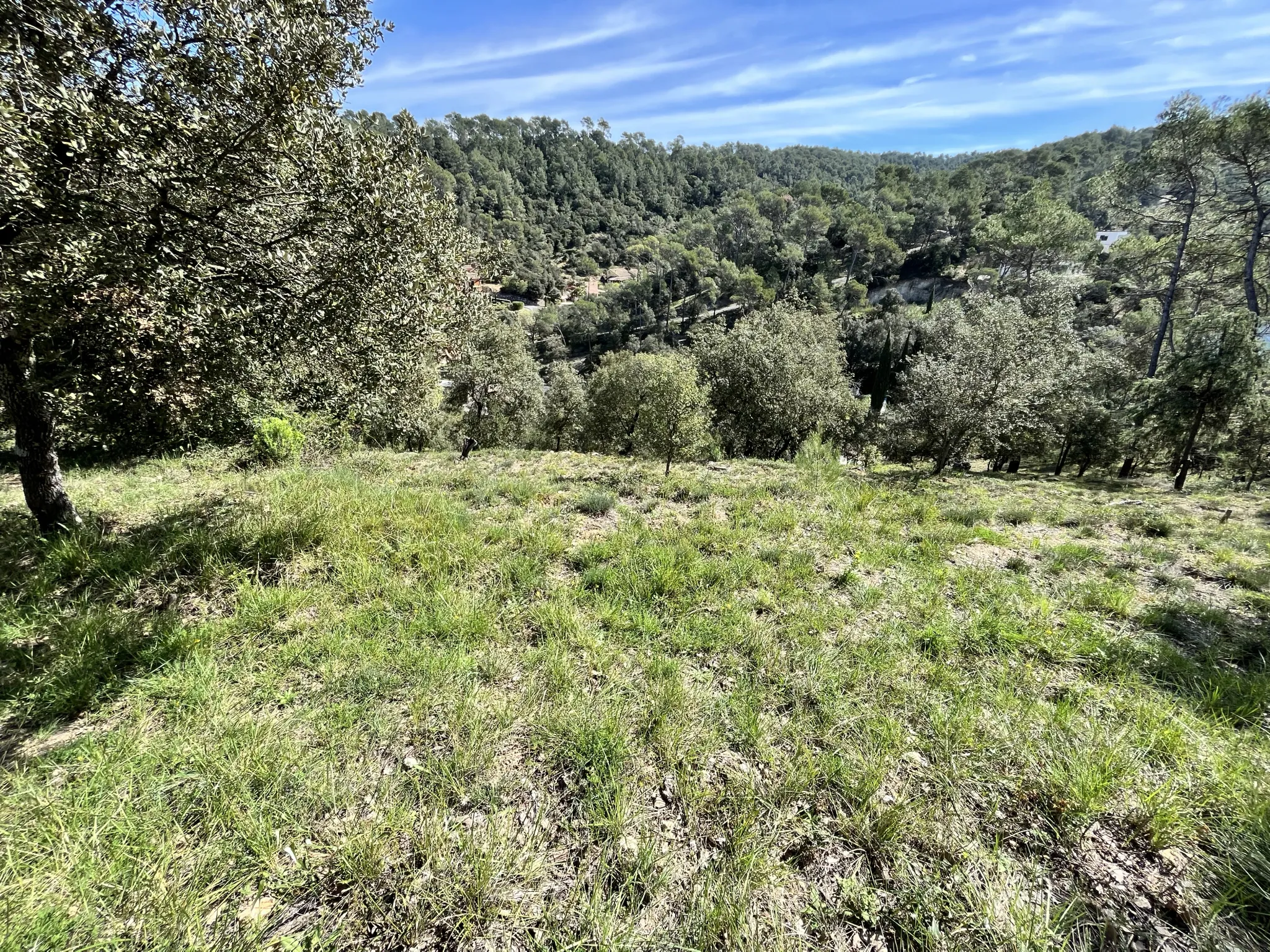 Terrain constructible à Vidauban de 2500 m2 