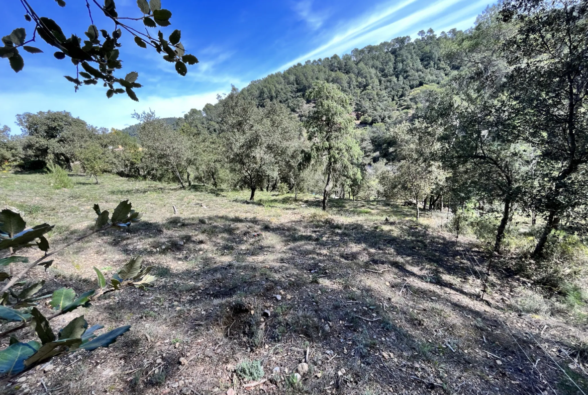 Terrain constructible à Vidauban de 2500 m2 