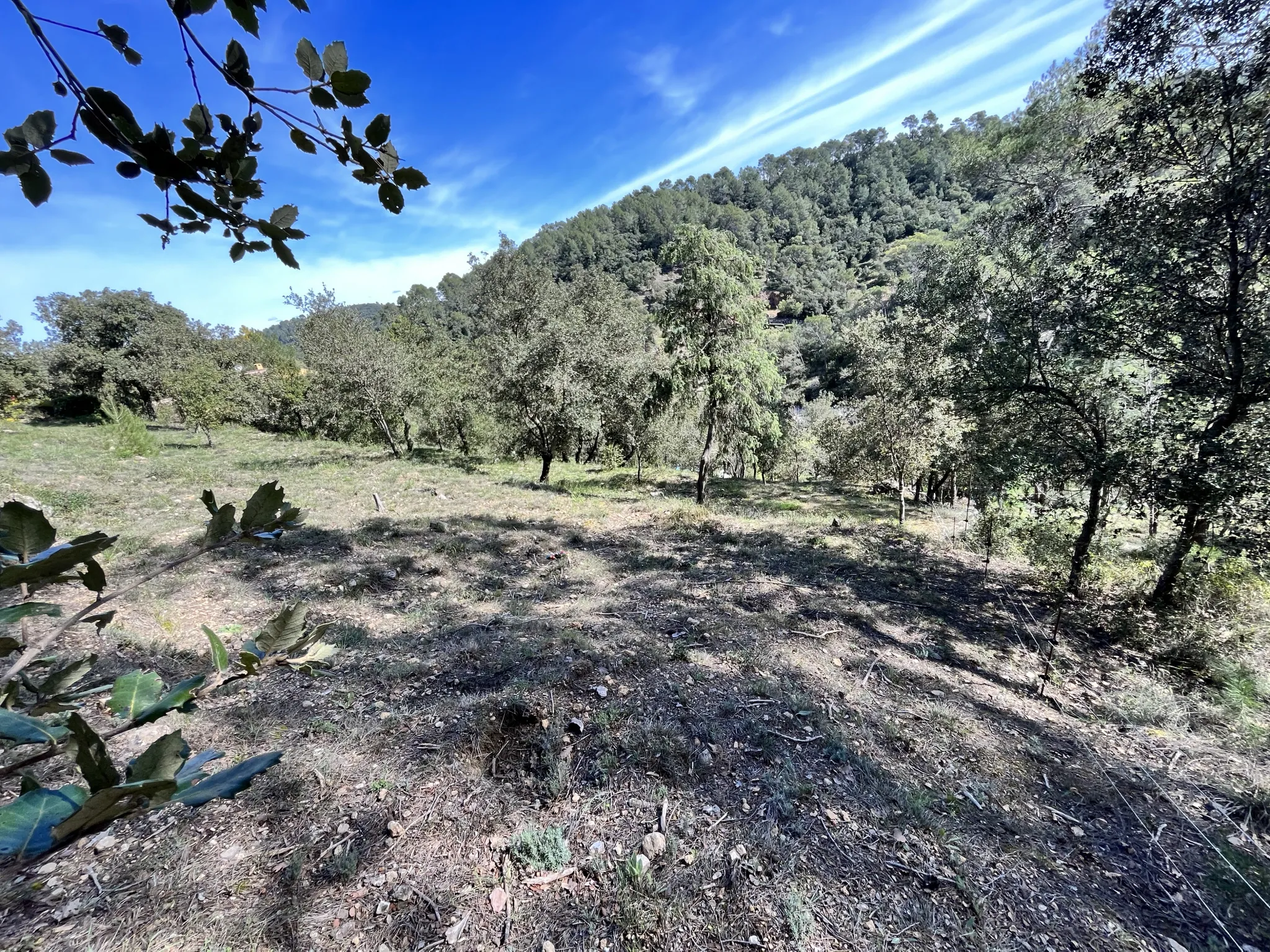 Terrain constructible à Vidauban de 2500 m2 