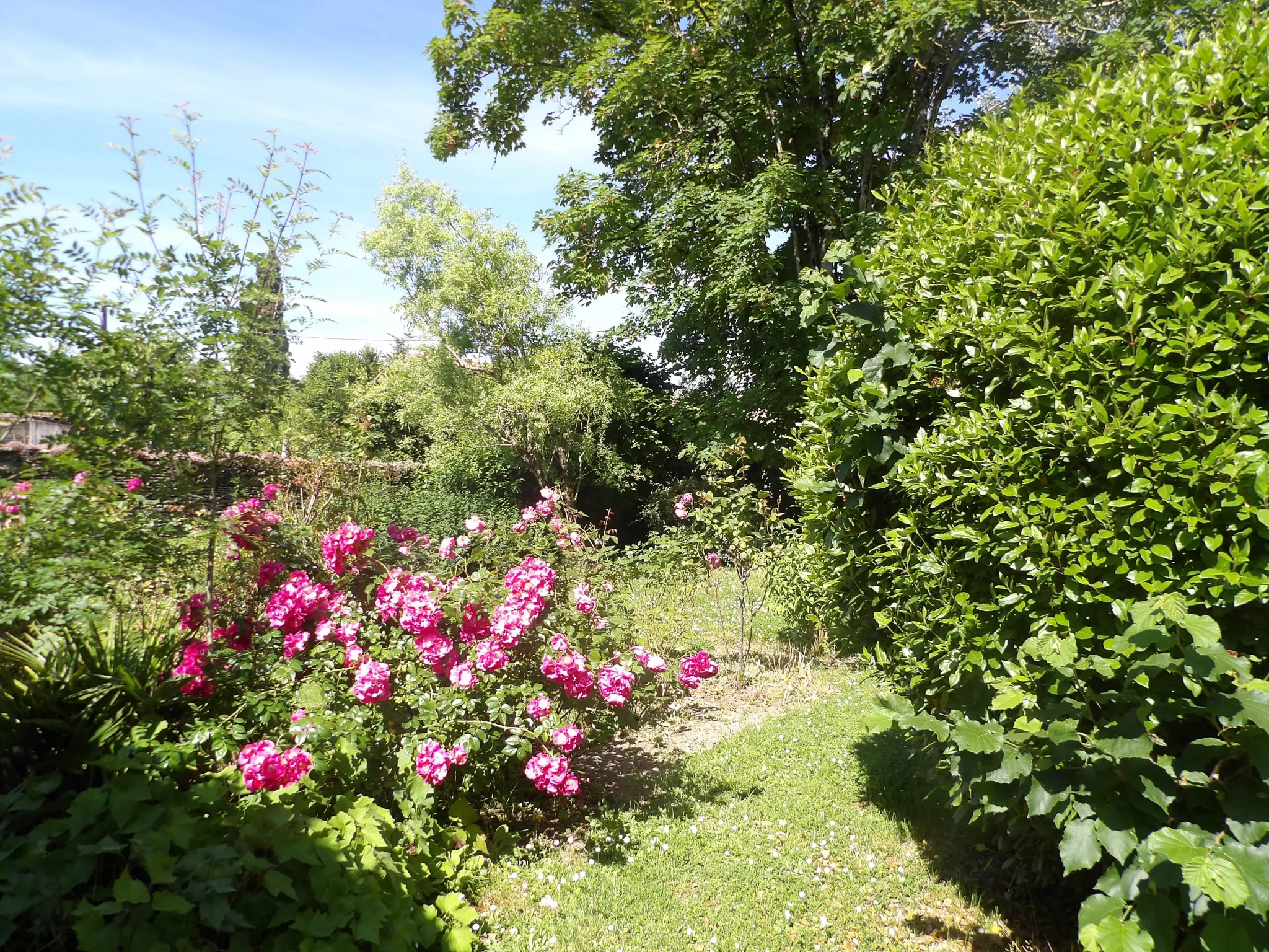 Maison Ancienne de 5 Pièces avec Jardin et Dépendances à Bazauges 