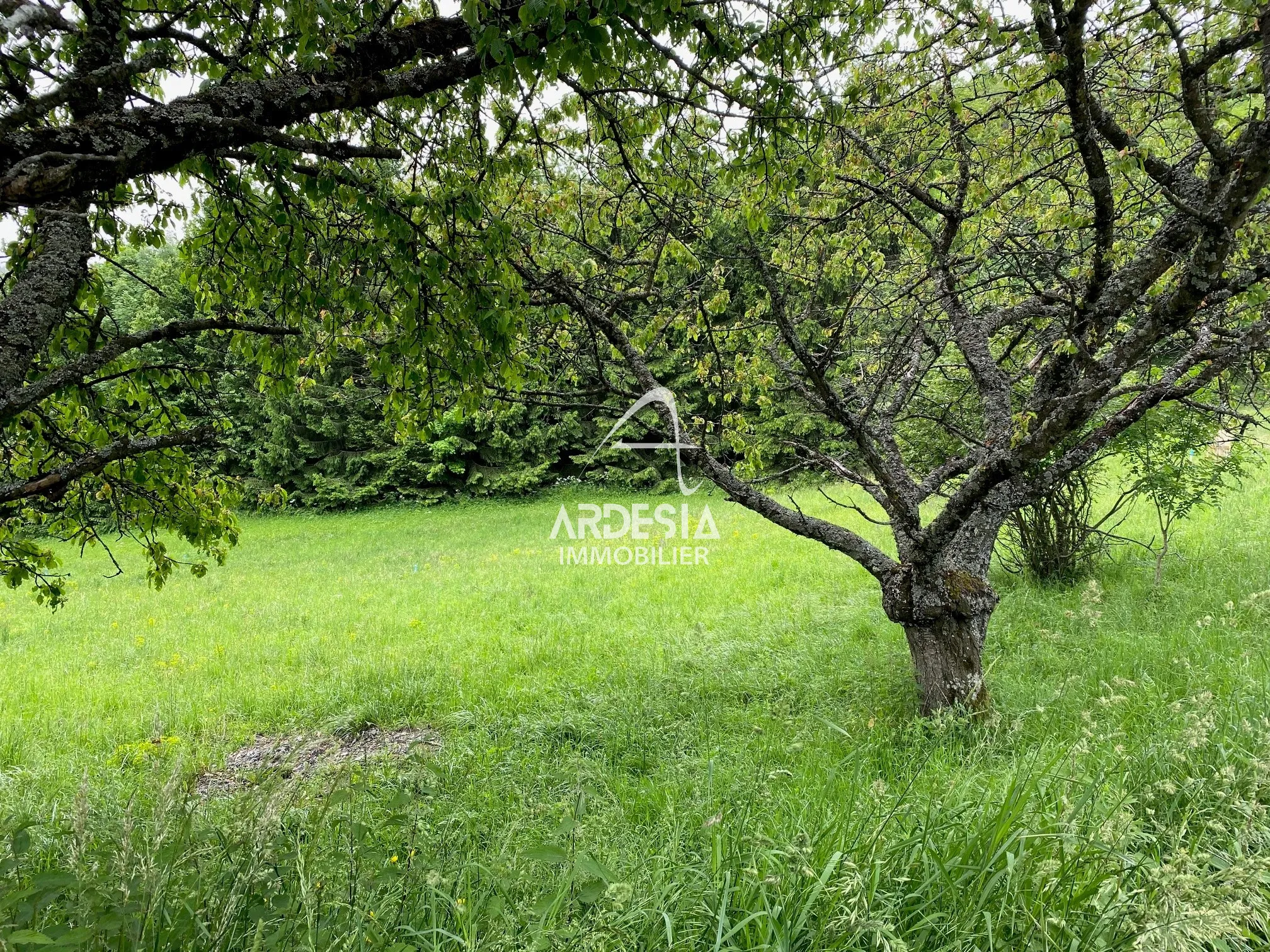 Terrains à vendre à Jarrier - Le Bergust 