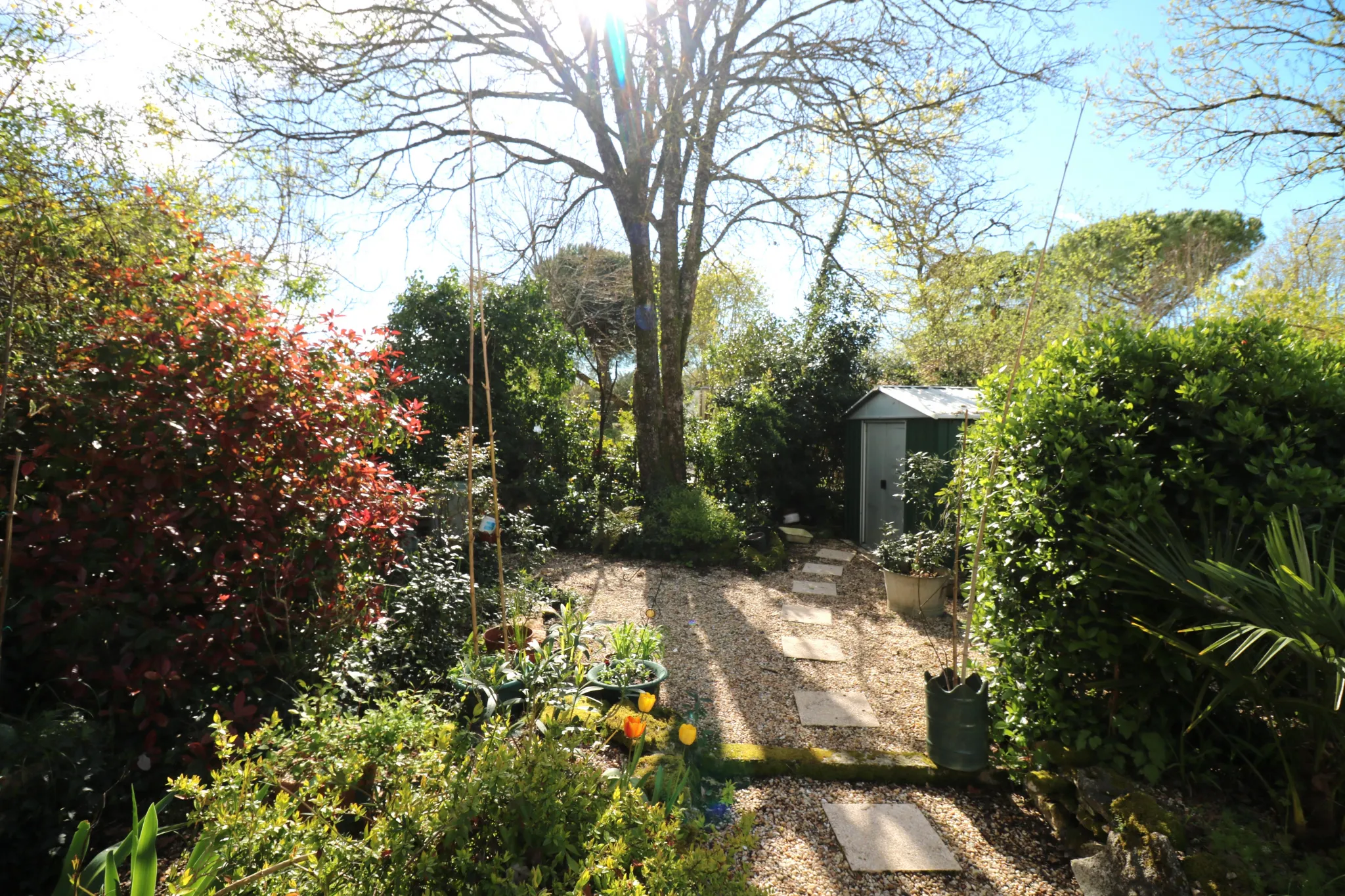 Maison 3 chambres avec jardin à Crazannes 