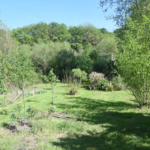 Terrain à bâtir avec vue sur la forêt