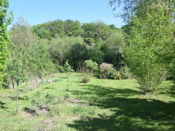 Terrain à bâtir avec vue sur la forêt