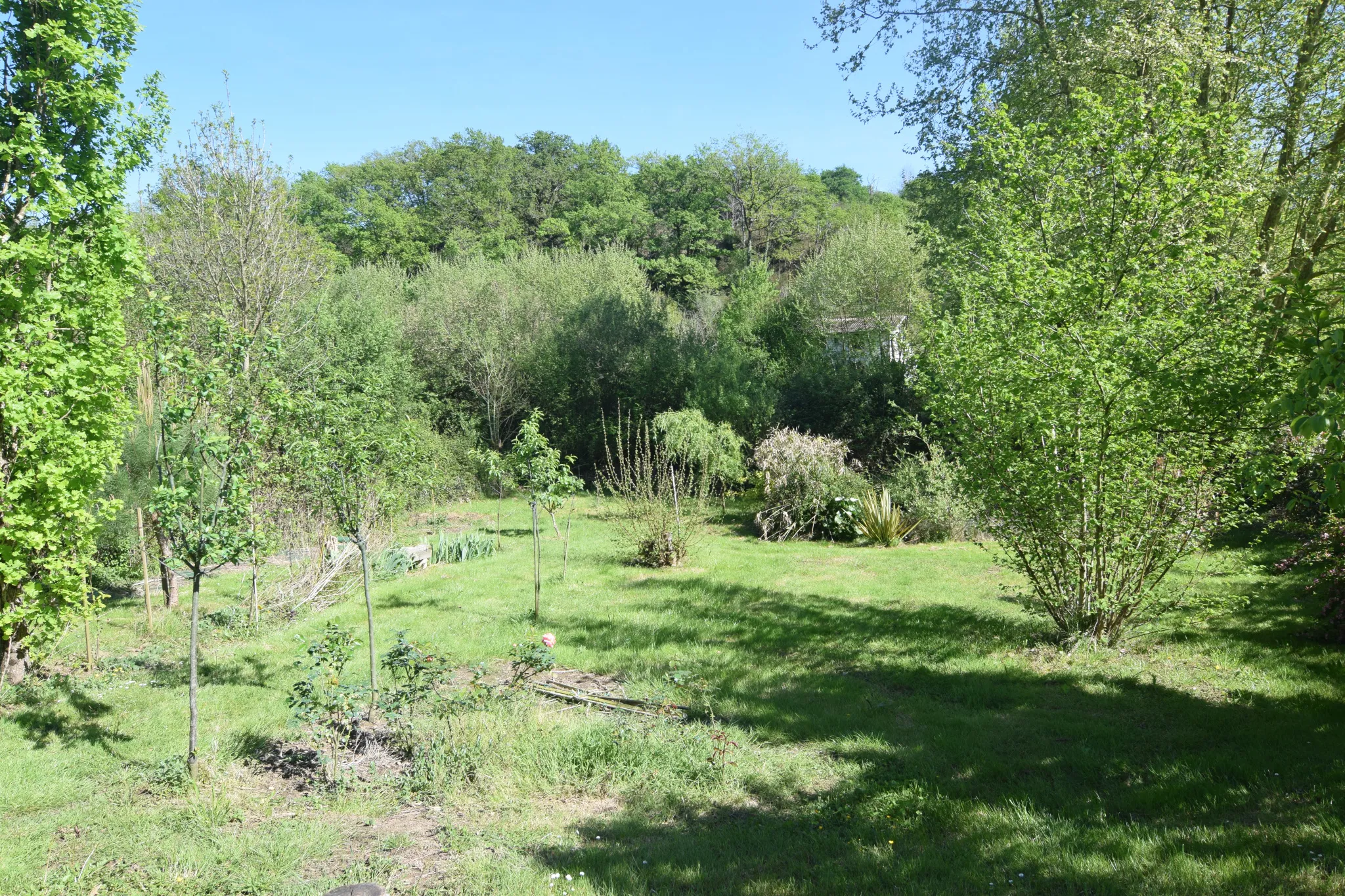 Terrain à bâtir avec vue sur la forêt 