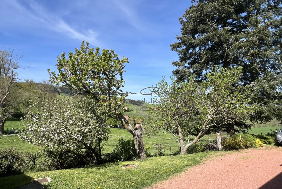 Maison en Pierre de 180m2 à Amplepuis avec 3 Chambres 