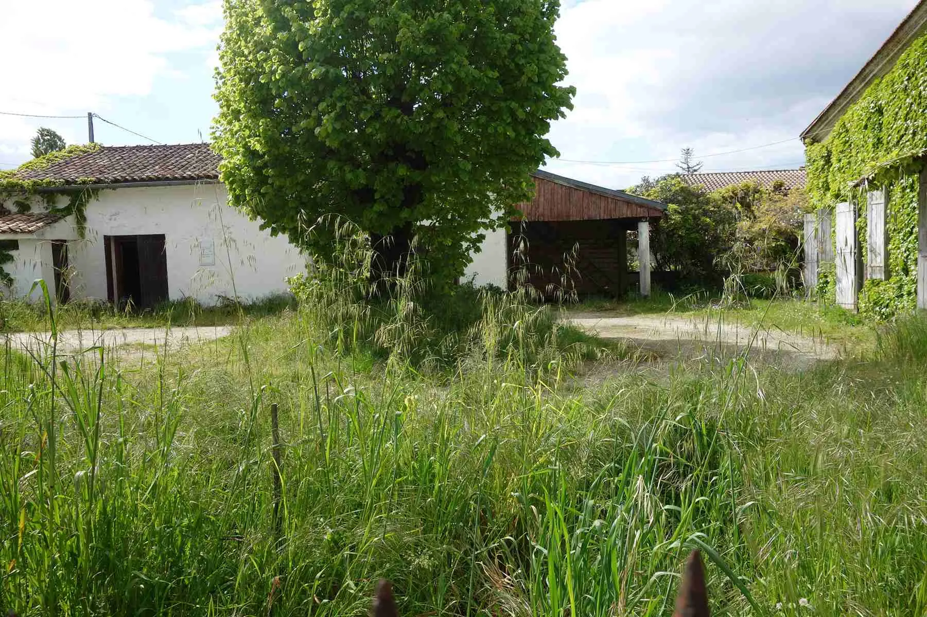 Maison en pierre avec dépendances à rénover - Anglade 