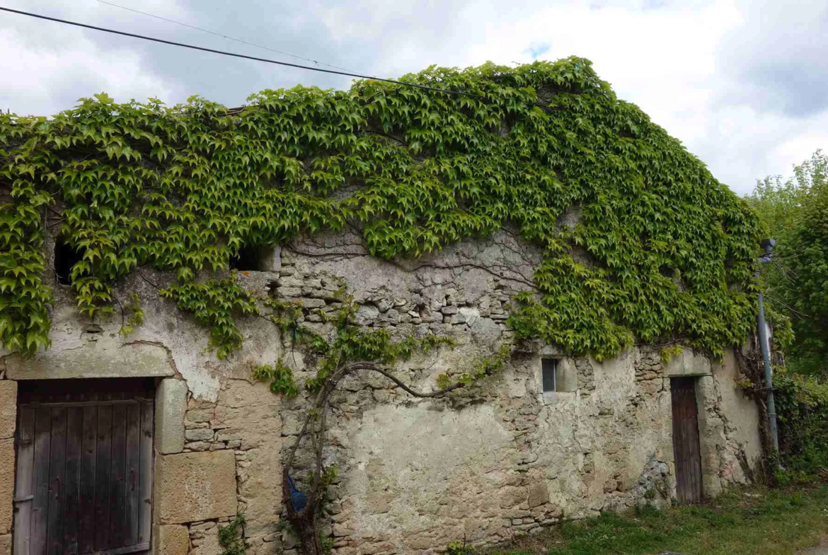 Maison en pierre avec dépendances à rénover - Anglade 