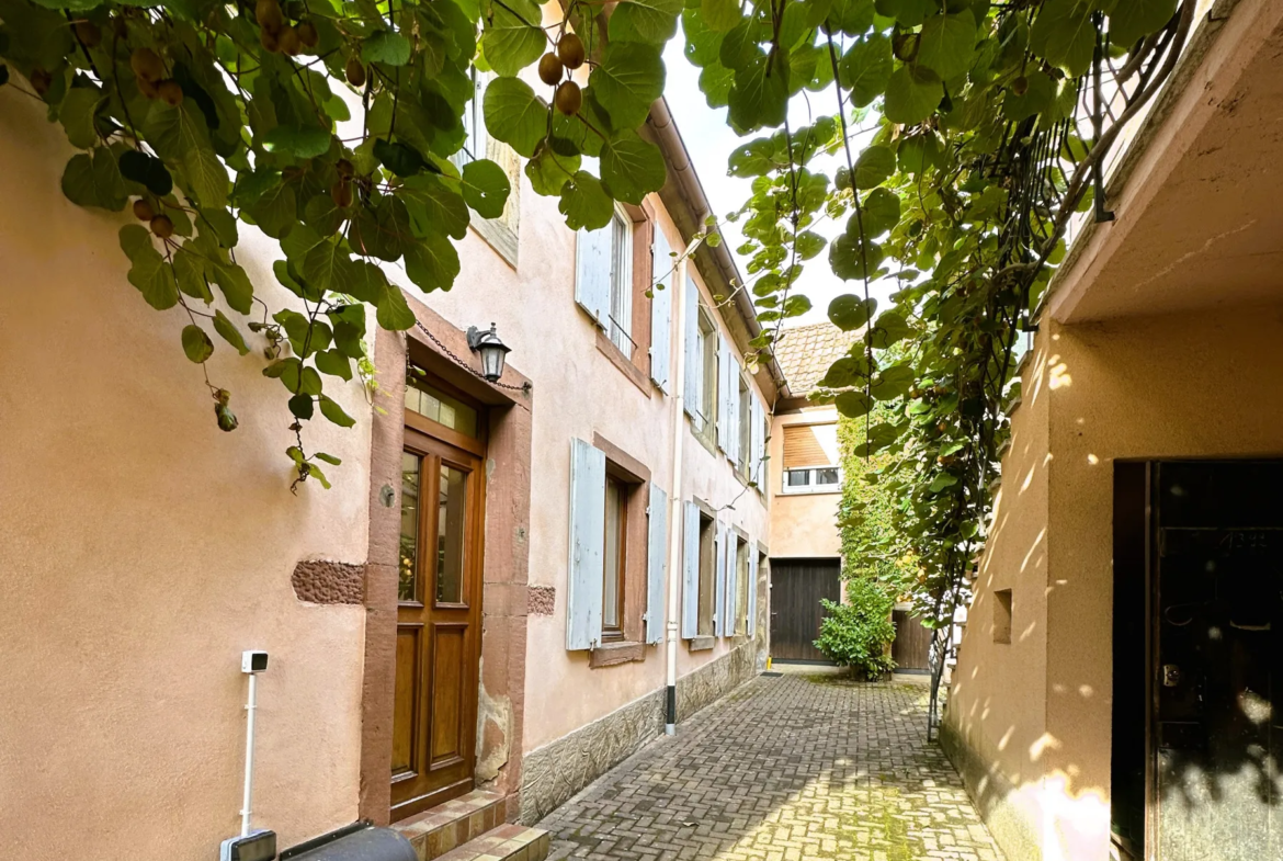 Propriété vigneronne à Heiligenstein 