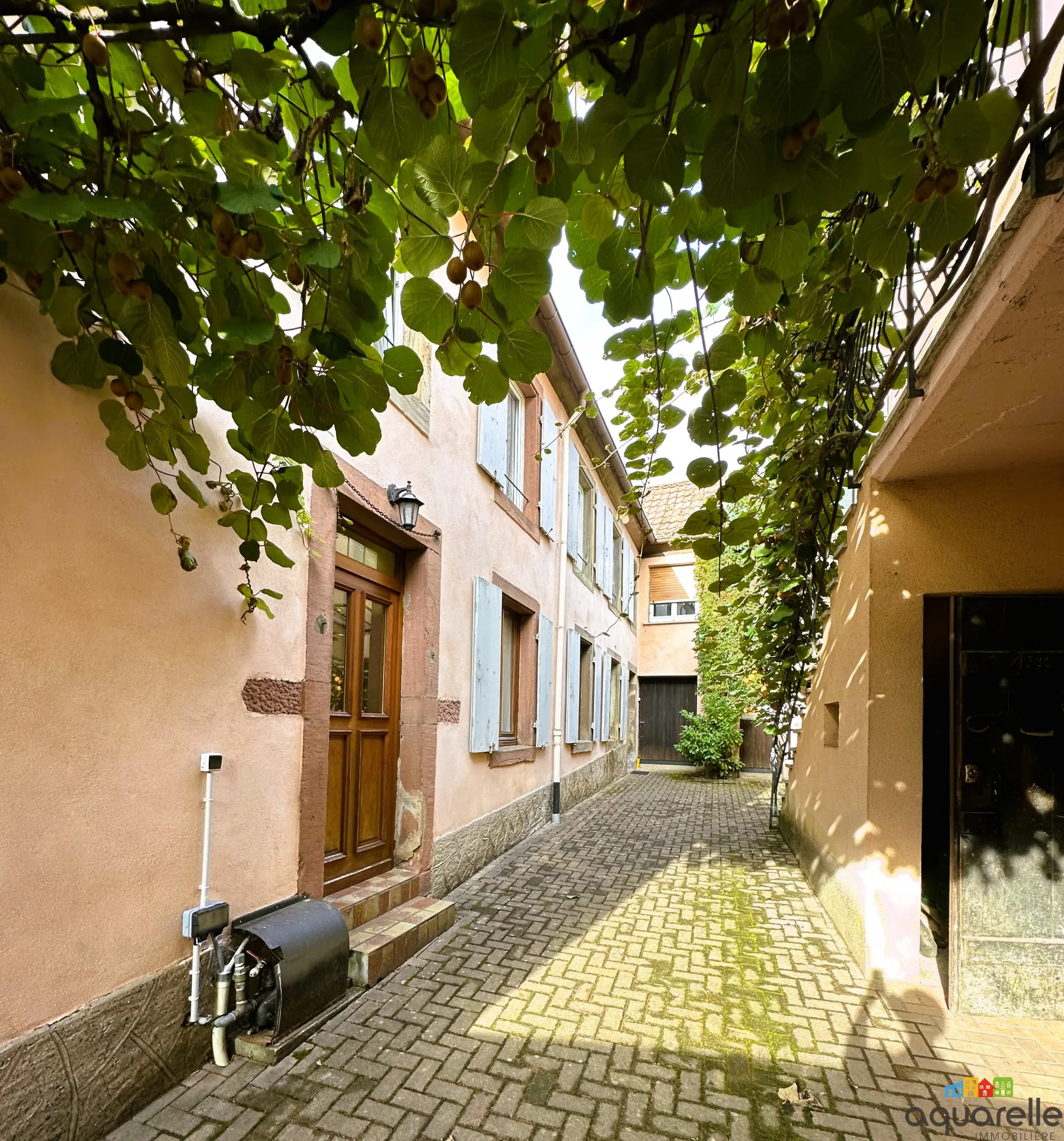 Propriété vigneronne à Heiligenstein 