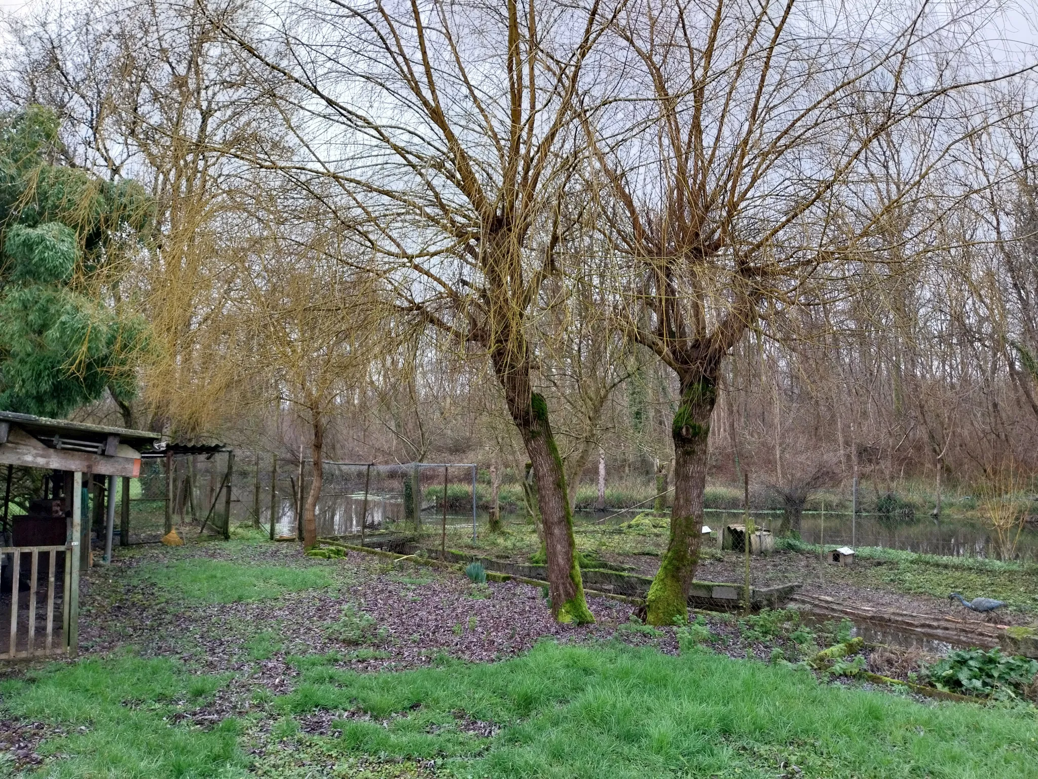 Maison Ancienne avec Île Privative à Gensac la Pallue 