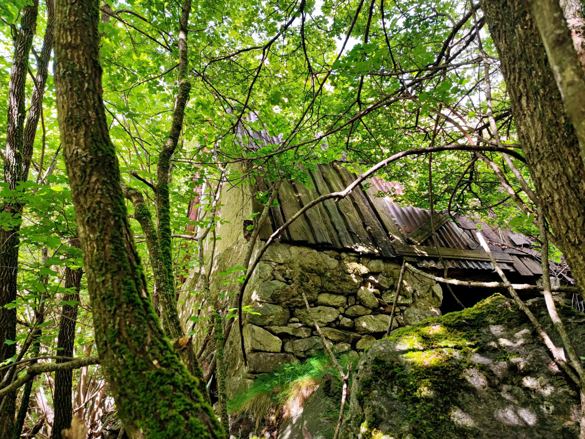 Terrain avec Grange à Belvédère (06450) 