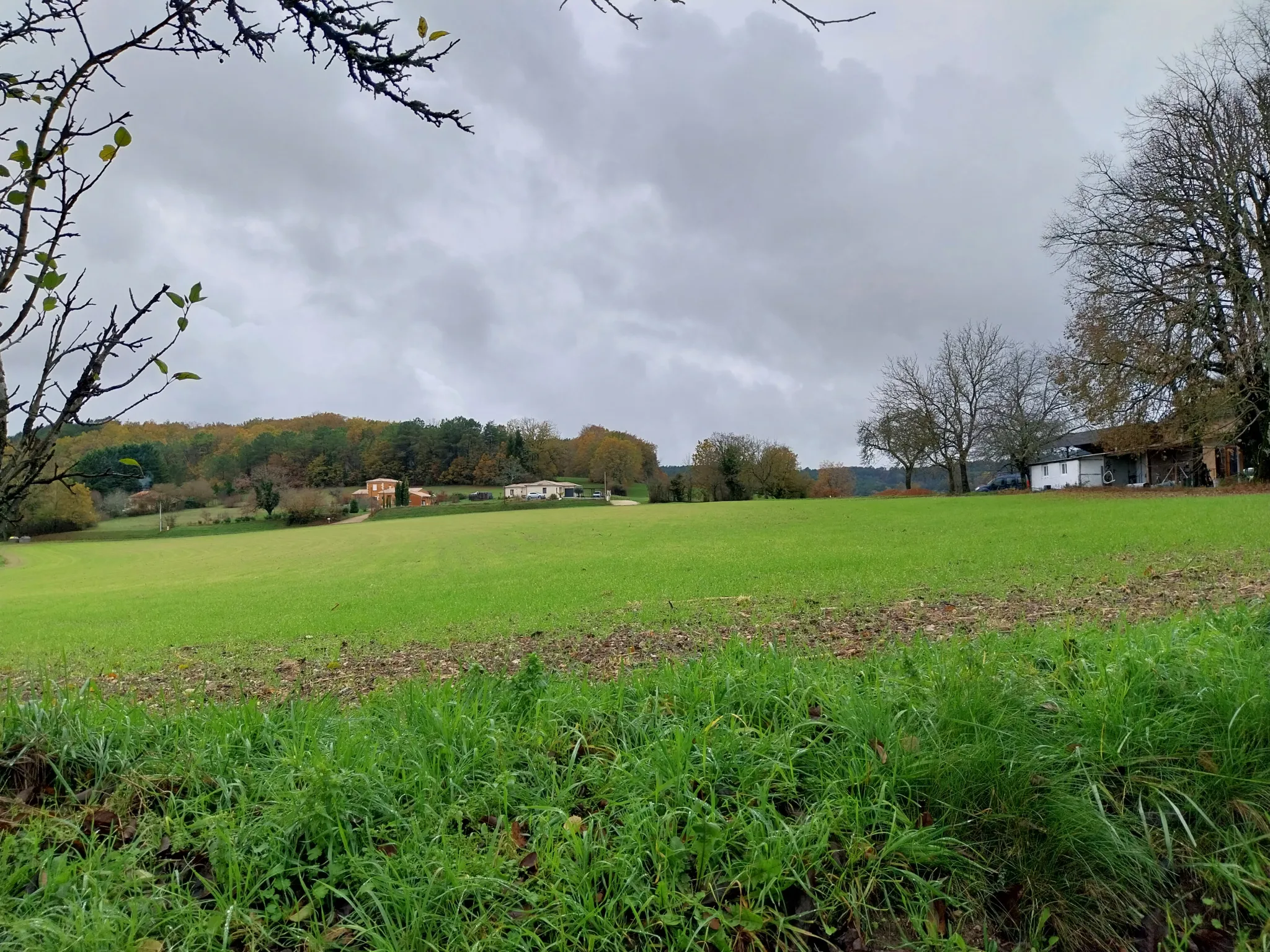 Terrain à vendre à Agonac - 1,88 hectare avec vue 