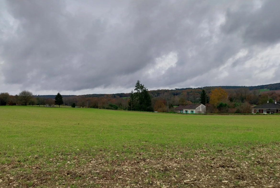 Terrain à vendre de 1,8 hectare à Agonac - Vue sur la vallée 