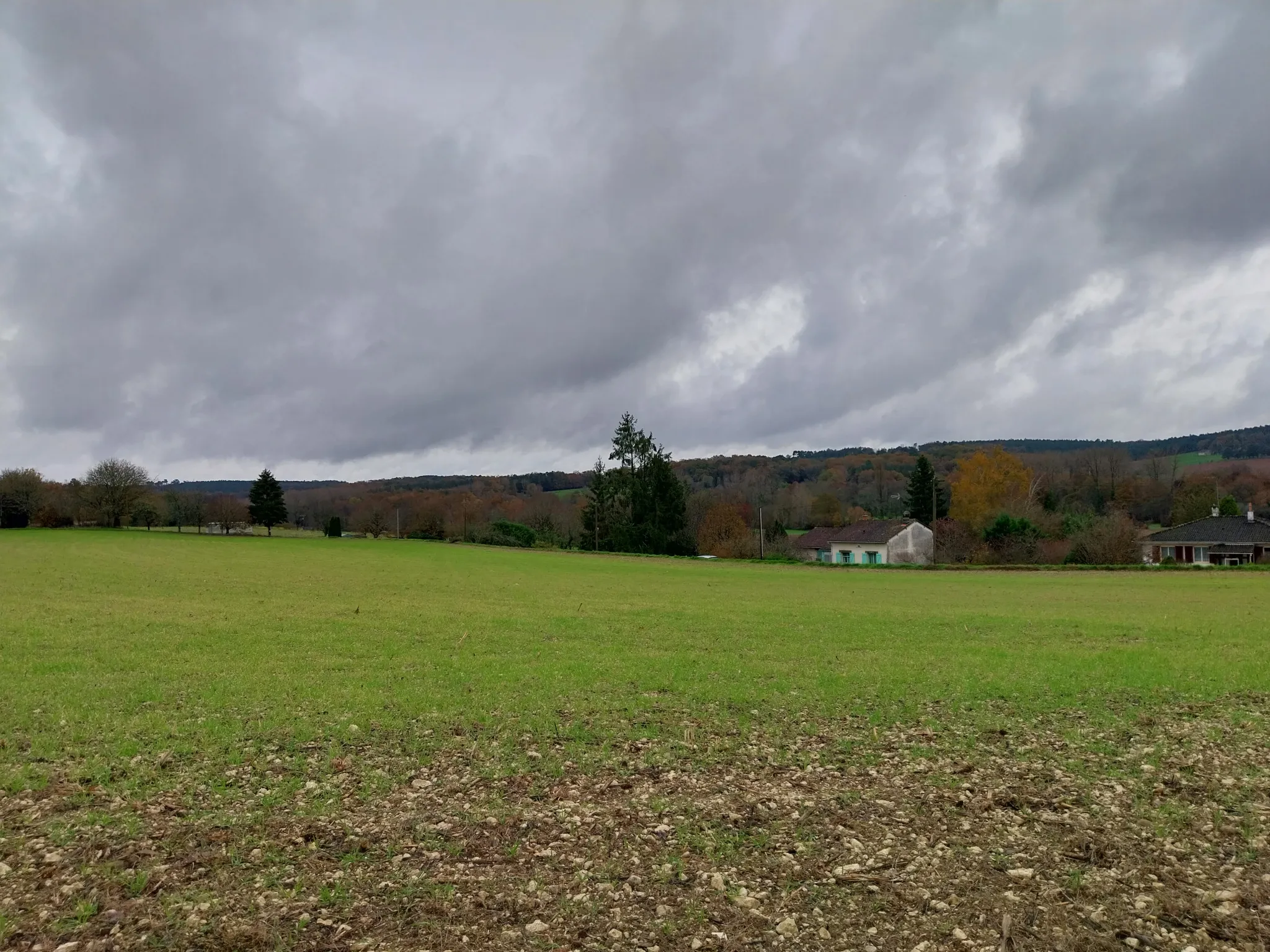 Terrain à vendre à Agonac - 1,88 hectare avec vue 