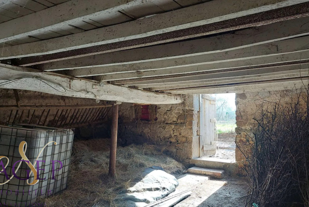 Maison en pierre avec grange et terrains à Le Mayet de Montagne 