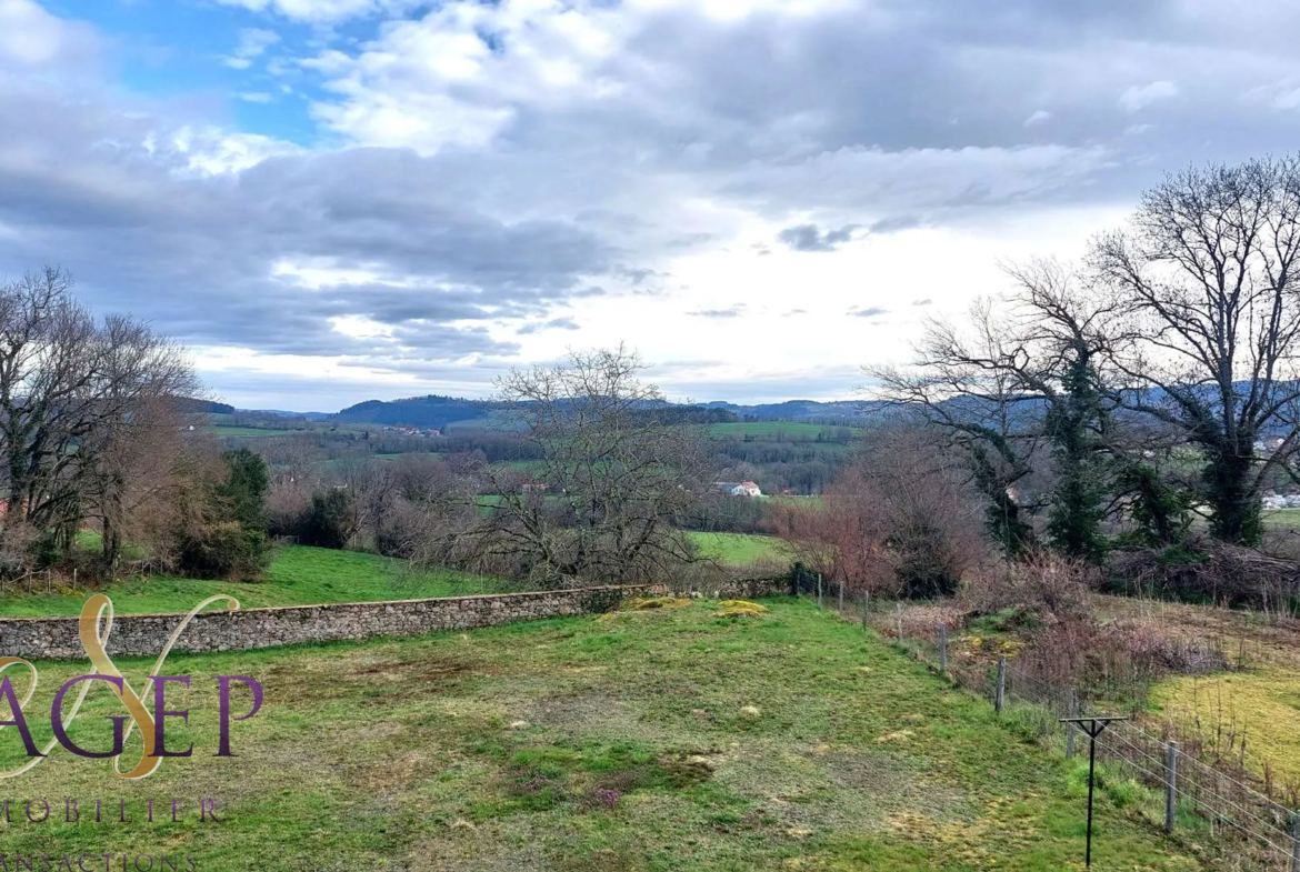 Maison en pierre avec grange et terrains à Le Mayet de Montagne 