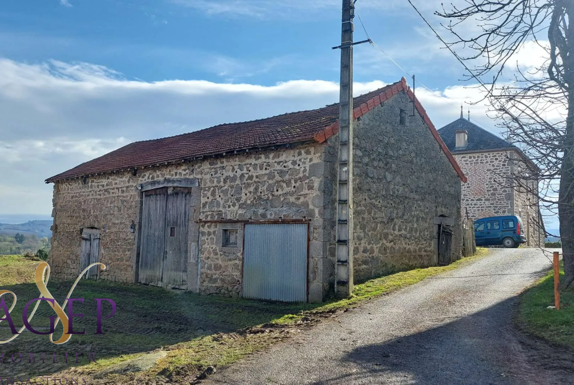 Maison en pierre avec grange et terrains à Le Mayet de Montagne 