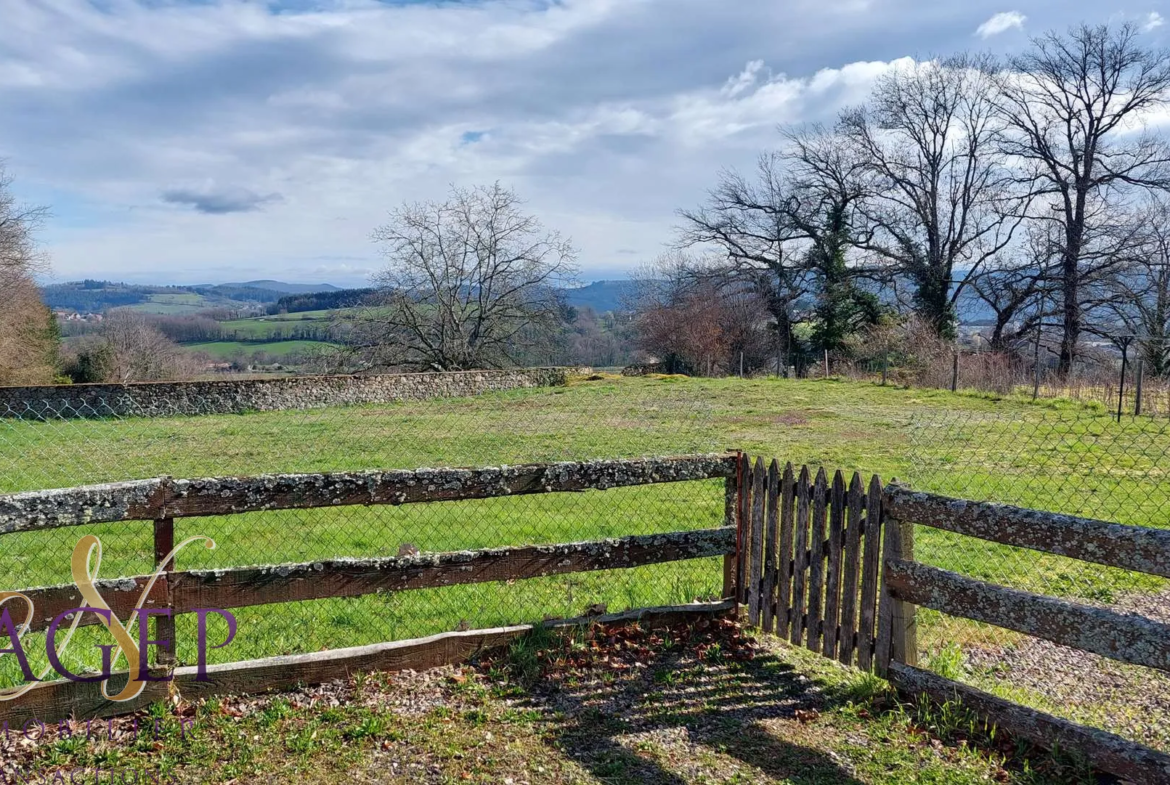 Maison en pierre avec grange et terrains à Le Mayet de Montagne 