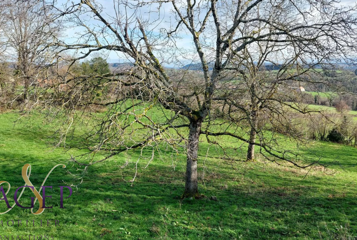 Maison en pierre avec grange et terrains à Le Mayet de Montagne 