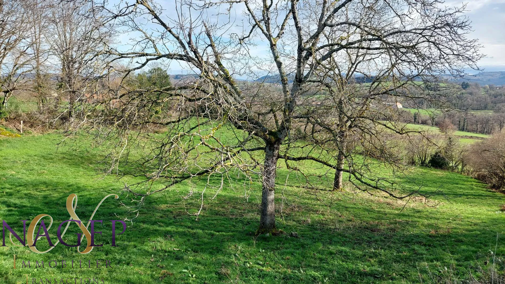 Maison en pierre avec grange et terrains à Le Mayet de Montagne 