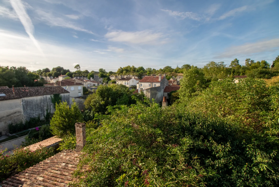 Maison de Caractère à Saint-Savinien avec Jardin de 800 m² 