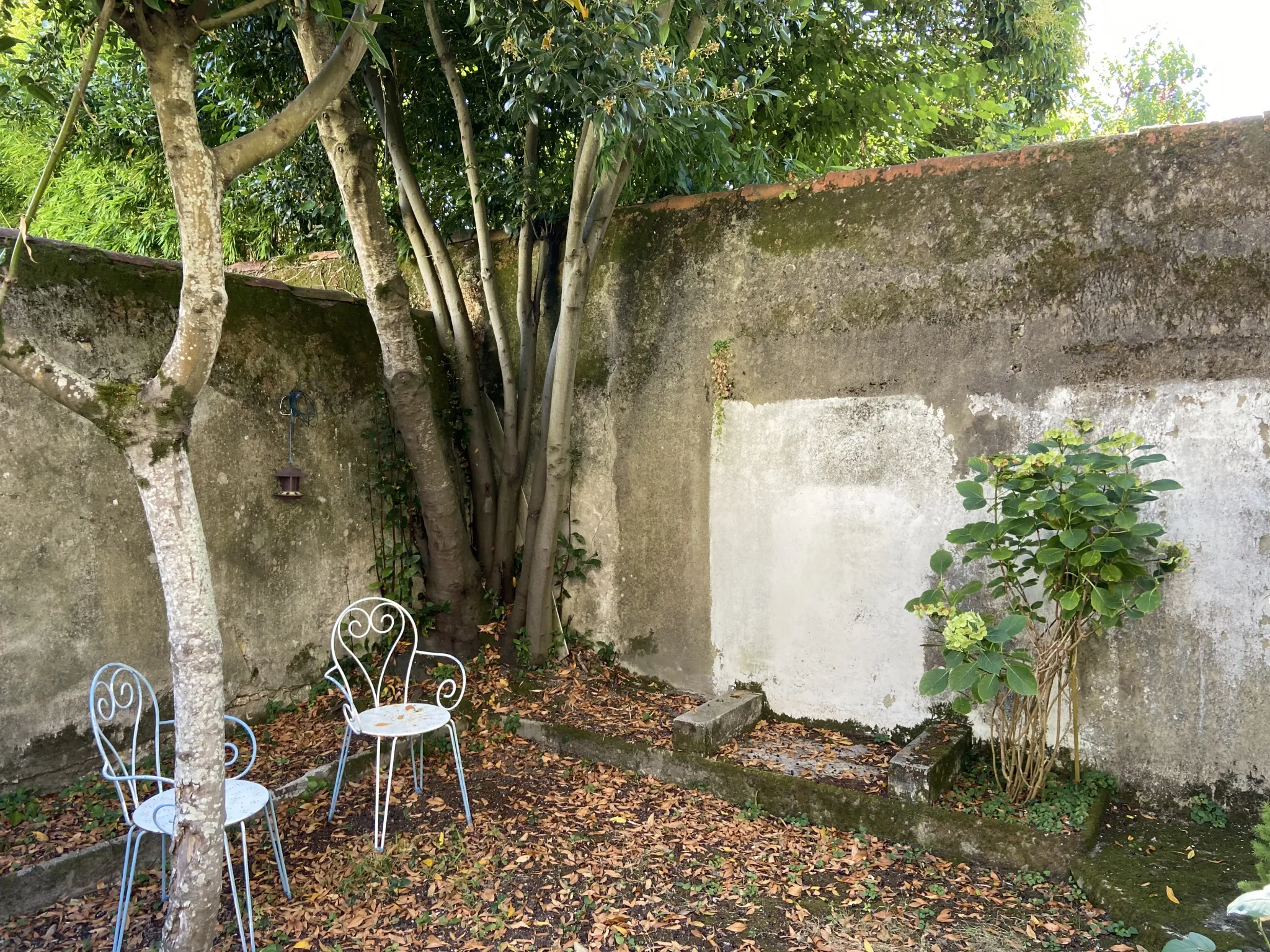 À vendre : Maison bourgeoise au centre de Condom avec cour et jardin 