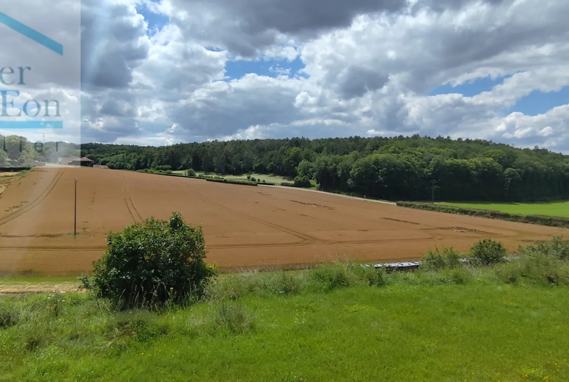 Maison de campagne à Pimelles avec jardin de 4000 m² à vendre 