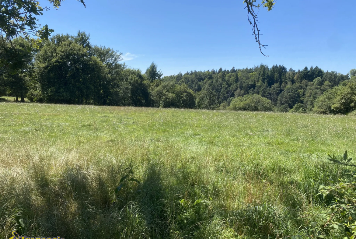 Vente de terrain de 3300 m² à Augerolles 