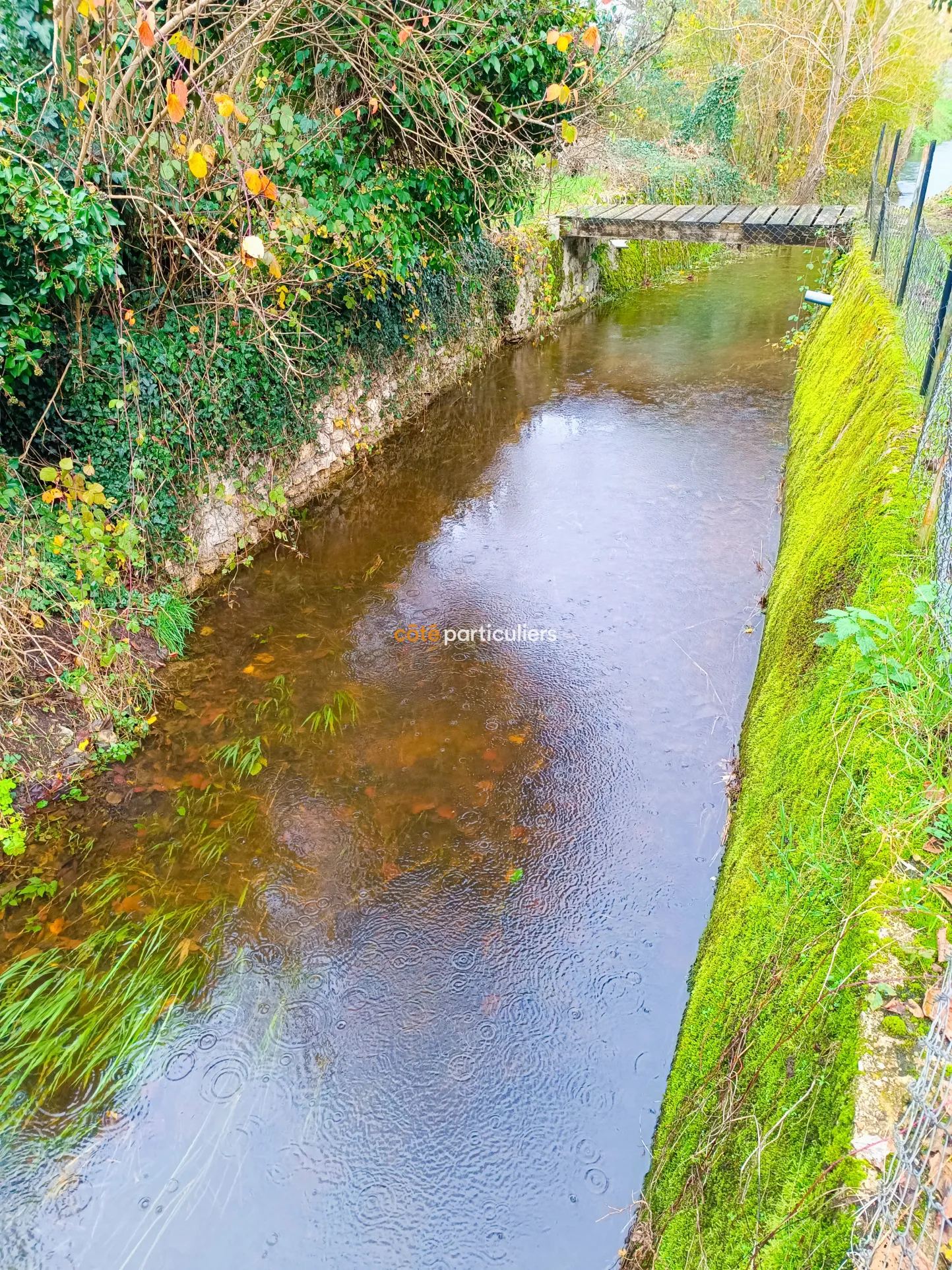 Charmante maison rénovée à Savigne-sur-Lathan avec rentabilité locative 