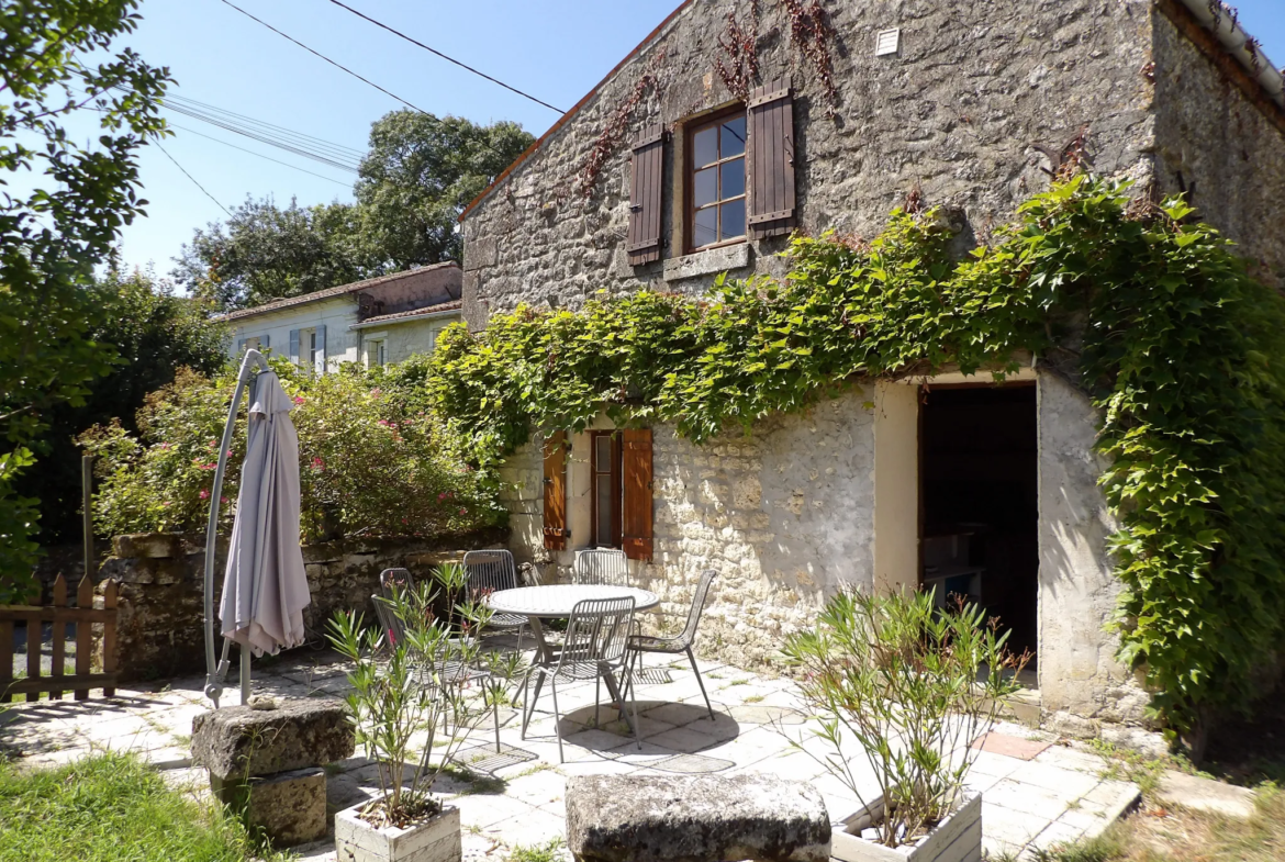 À vendre : Ensemble immobilier de 2 maisons à St Savinien avec jardin 