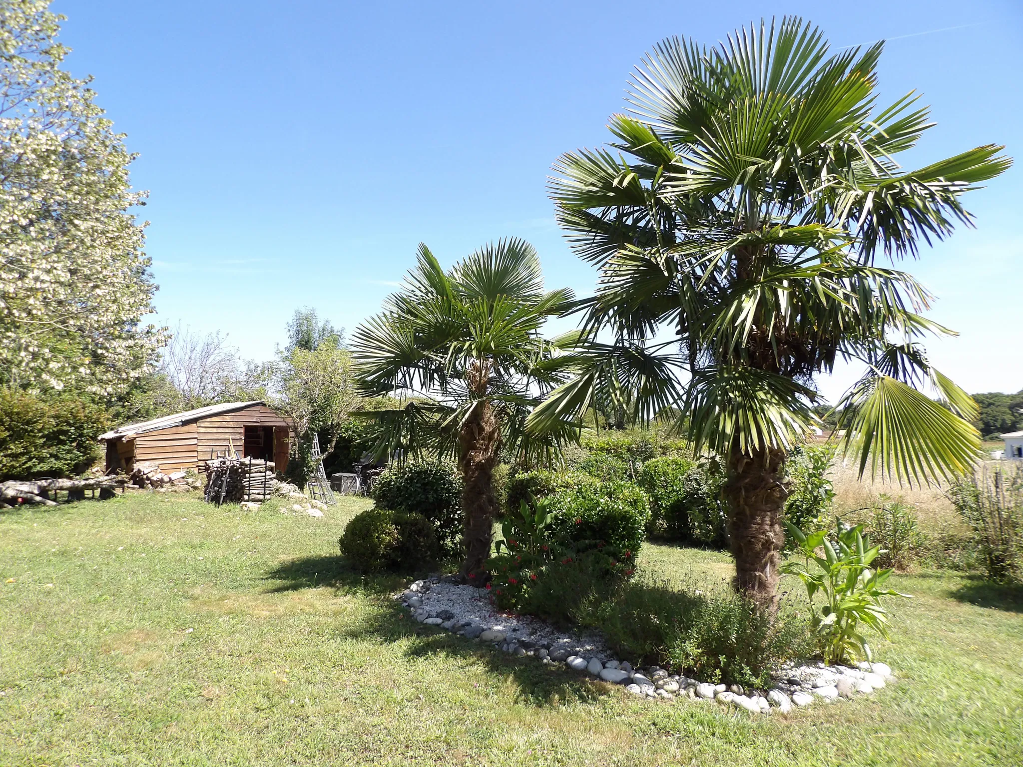 Ensemble immobilier avec deux maisons à vendre à Saint-Savinien 