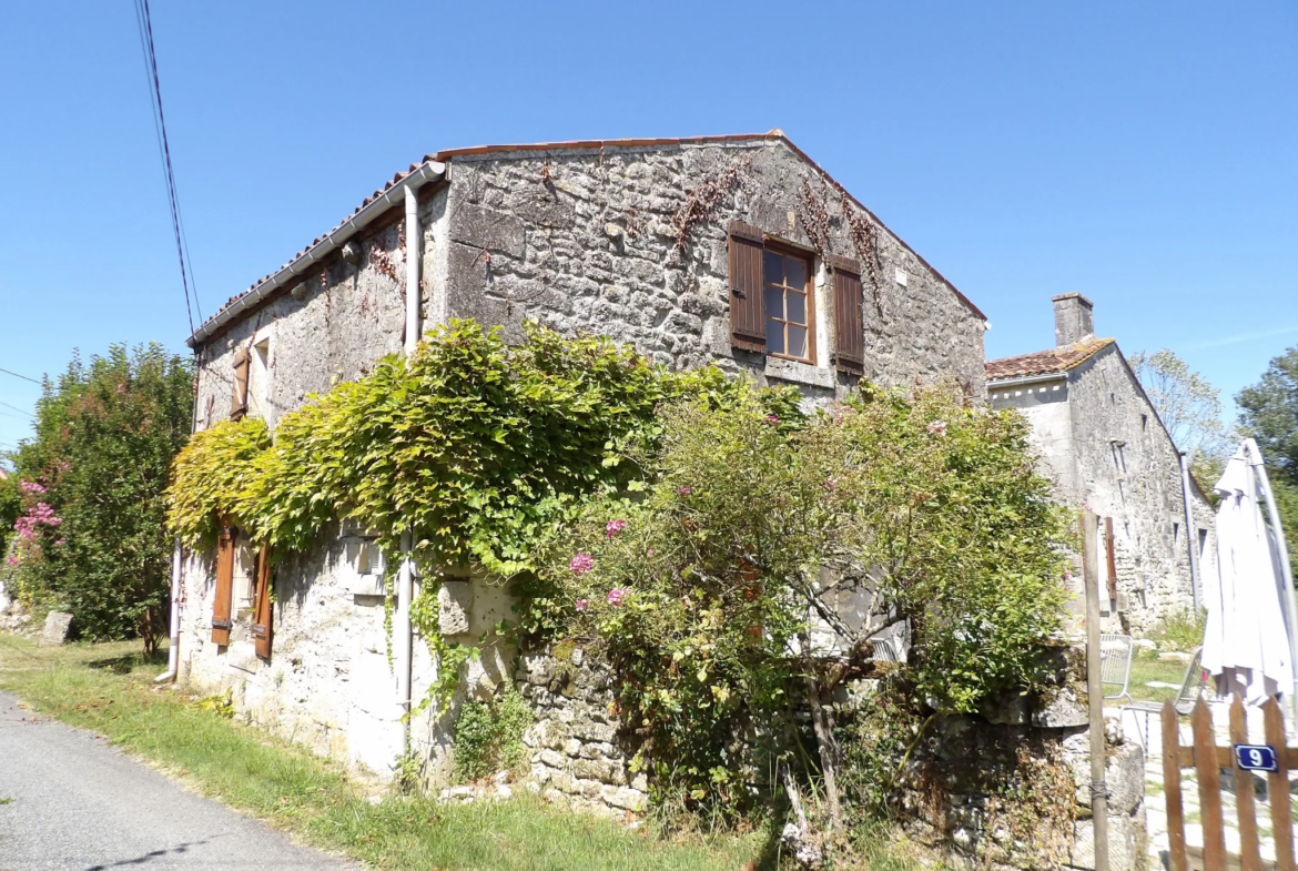 À vendre : Ensemble immobilier de 2 maisons à St Savinien avec jardin 