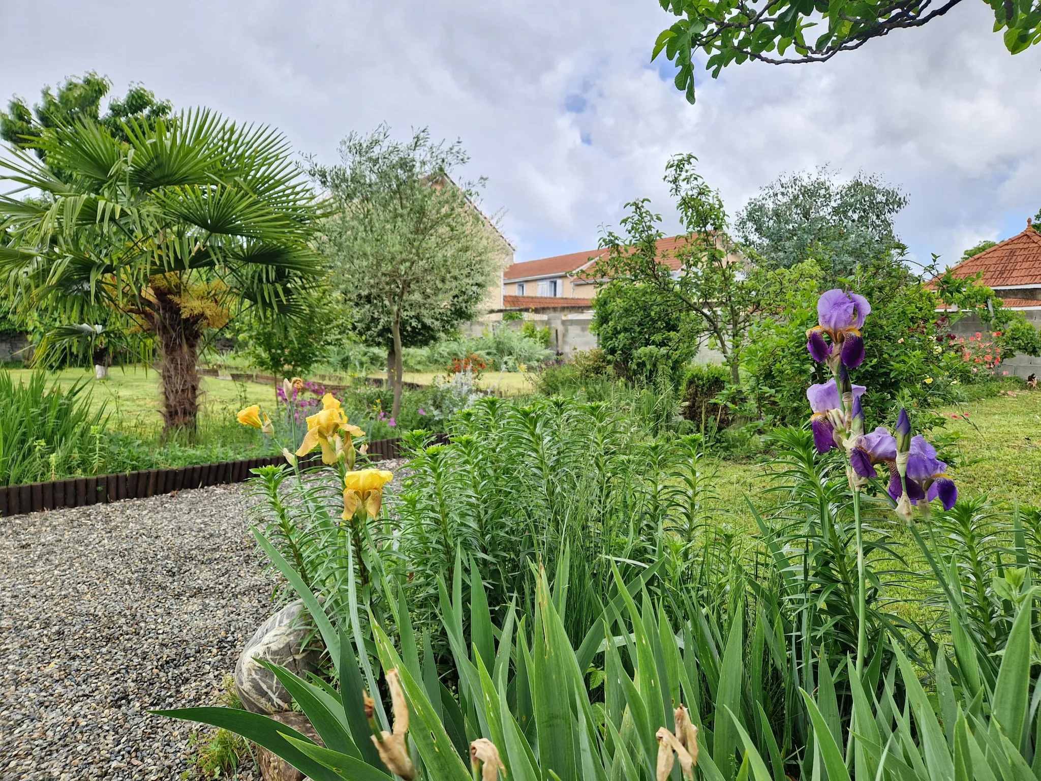 À vendre : deux maisons de village à Pujo, près de Vic-en-Bigorre 