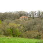 Maison ossature bois à vendre au milieu des bois à Masquieres