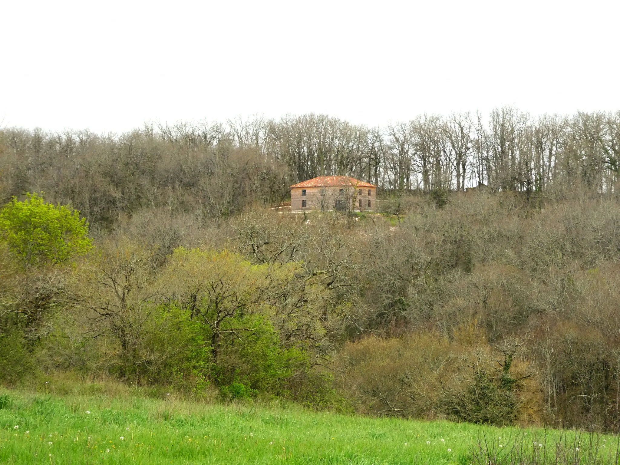 Maison ossature bois à vendre au milieu des bois à Masquieres 