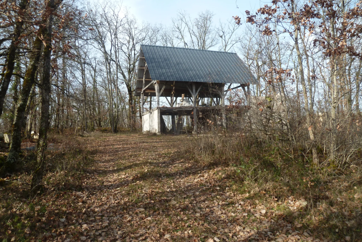 Maison ossature bois à vendre au milieu des bois à Masquieres 