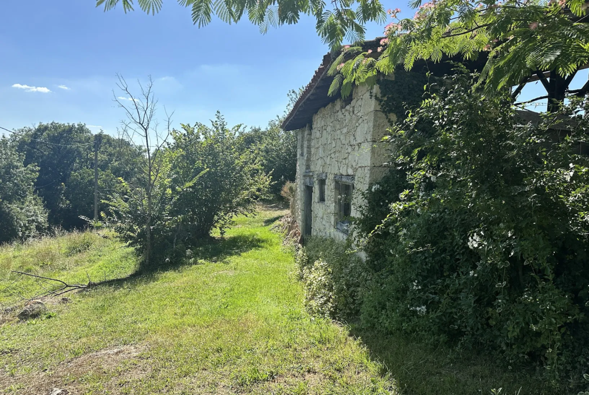 Belle maison en pierre à vendre à Fleurance 